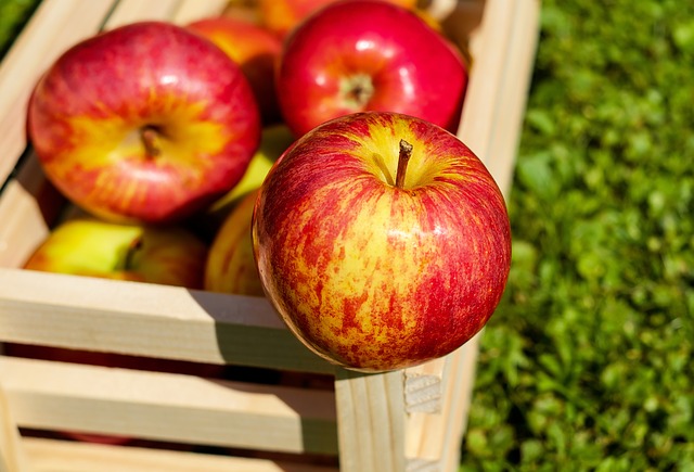 Czy i ty już wiesz jak skutecznie przechowywać jabłka?