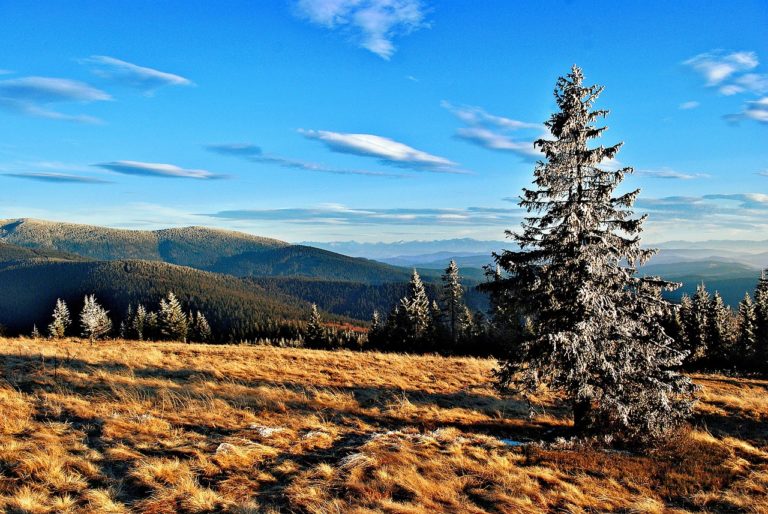 Stay in tatra – poznaj zakopiańskie noclegi z charakterem