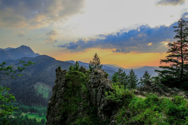 Zakopane z psem? sprawdź, gdzie znajdziesz przyjazne apartamenty