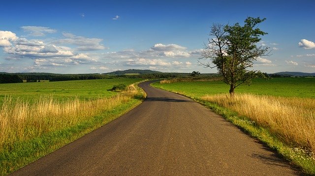 Zaskakujące metody zwiększania plonów bez dodatkowych chemikaliów